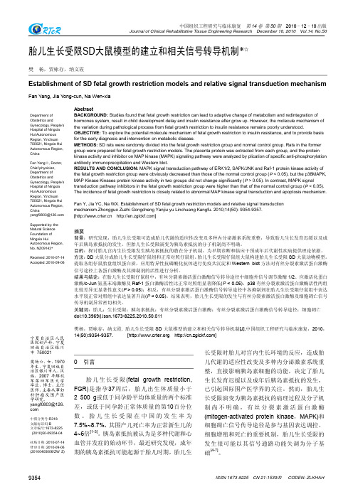 胎儿生长受限SD大鼠模型的建立和相关信号转导机制