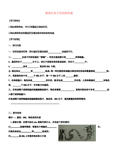 八年级生物下册7_2_2基因在亲子代间的传递导学案无答案新版新人教版