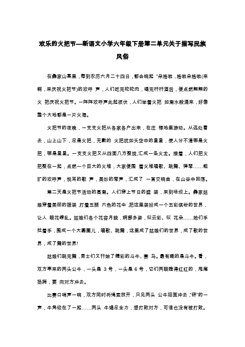 欢乐的火把节—新语文小学六年级下册第二单元关于描写民族风俗_六年级叙事作文