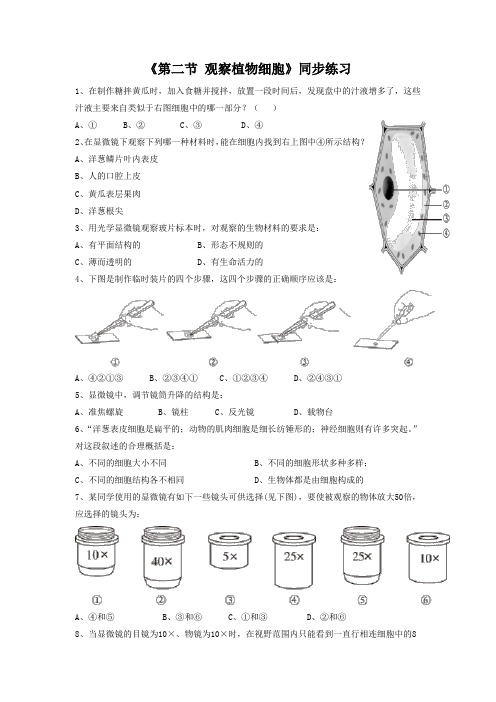 鲁科版生物六年级上册 第二单元第一章《第二节 观察植物细胞》 同步练习3