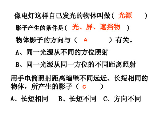 教科版小学科学五年级上册第二单元《阳光下的影子》课件