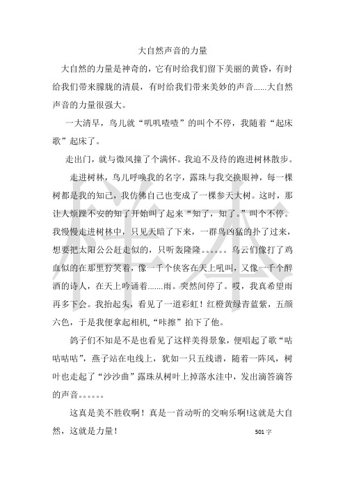 大自然声音的力量