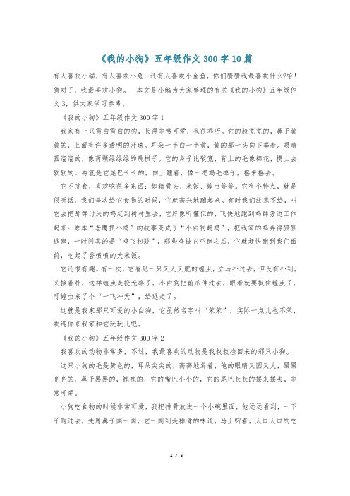 《我的小狗》五年级作文300字10篇