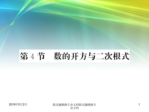 中考数学复习第一章数与式第4节数的开方与二次根式正文