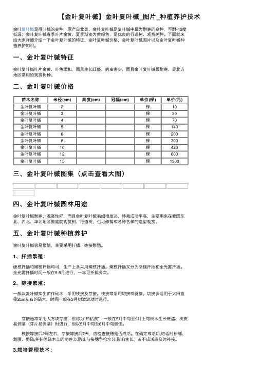 【金叶复叶槭】金叶复叶槭_图片_种植养护技术