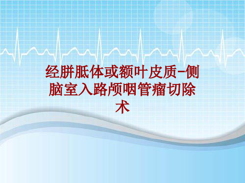 手术讲解模板：经胼胝体或额叶皮质-侧脑室入路颅咽管瘤切除术