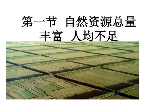 八年级地理自然资源总量丰富人均不足3