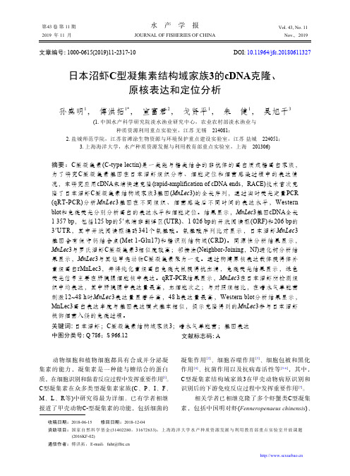 日本沼虾C型凝集素结构域家族3的cDNA克隆、原核表达和定位分析