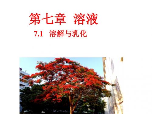 科粤2011课标版九年级化学下册第七章1 溶解与乳化(共26张PPT)