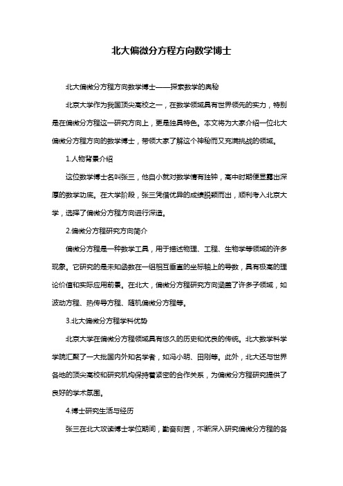 北大偏微分方程方向数学博士