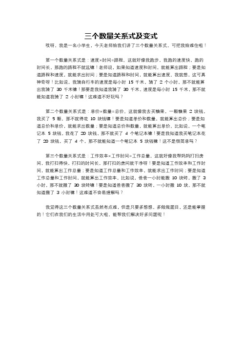 三个数量关系式及变式