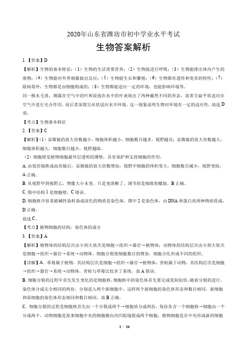 2020年山东省潍坊中考生物试卷-答案