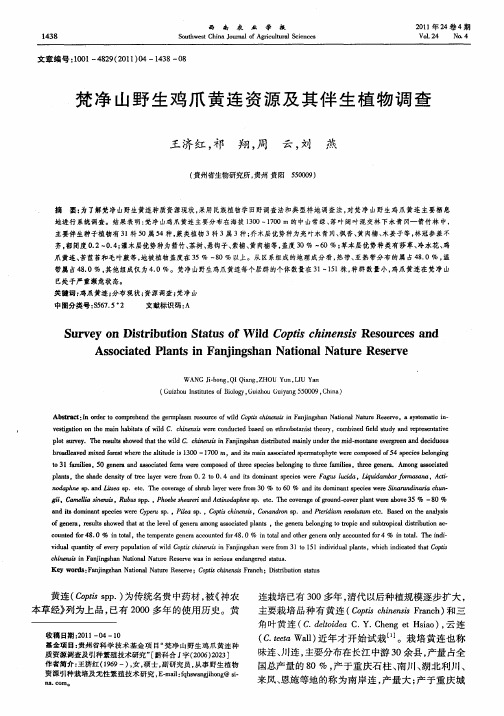 梵净山野生鸡爪黄连资源及其伴生植物调查