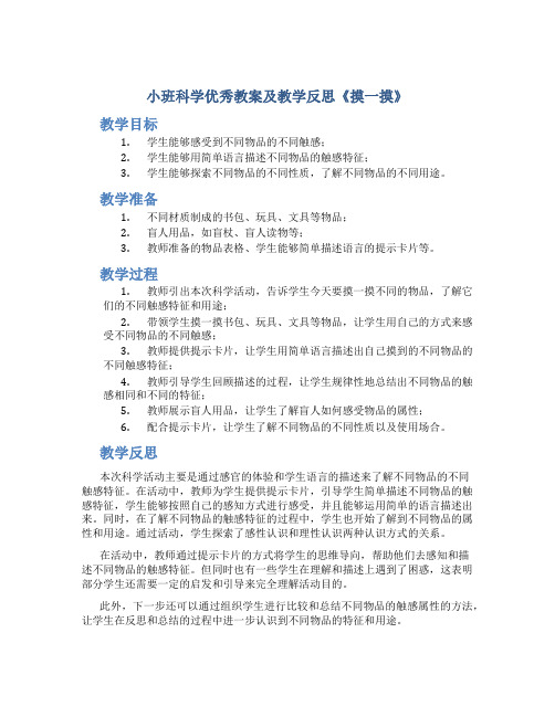 小班科学优秀教案及教学反思《摸一摸》