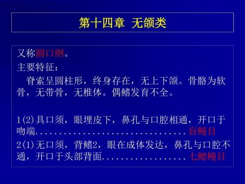 鱼类学14无颌类