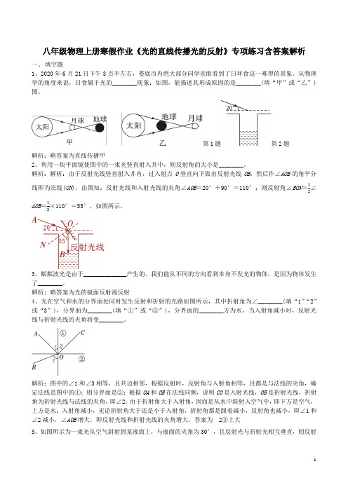 八年级物理上册寒假作业《光的直线传播光的反射》专项练习含答案解析