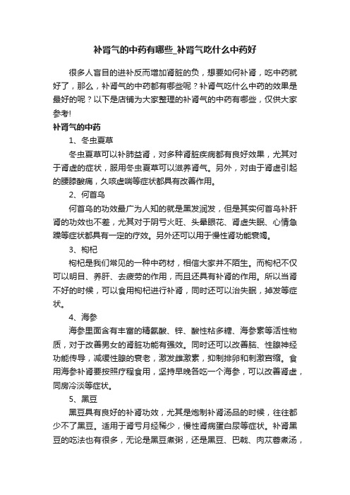 补肾气的中药有哪些_补肾气吃什么中药好