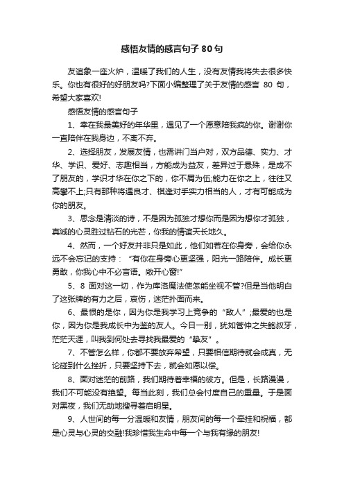 感悟友情的感言句子80句