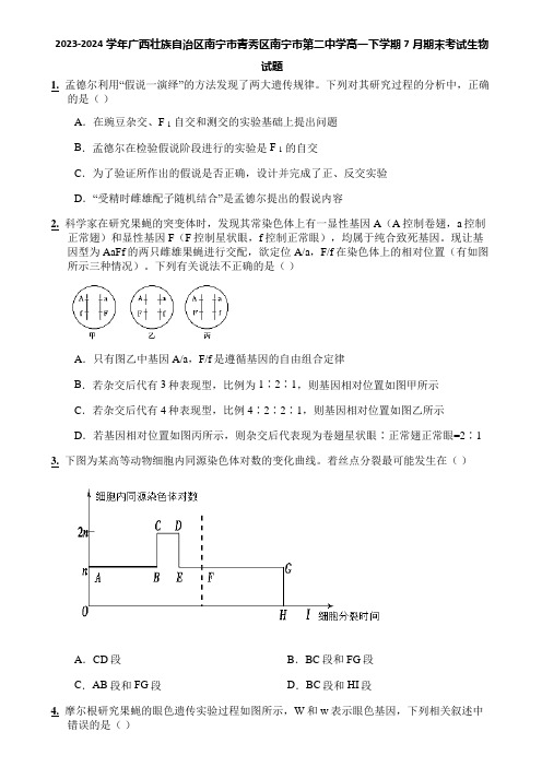 2023-2024学年广西壮族自治区南宁市青秀区南宁市第二中学高一下学期7月期末考试生物试题