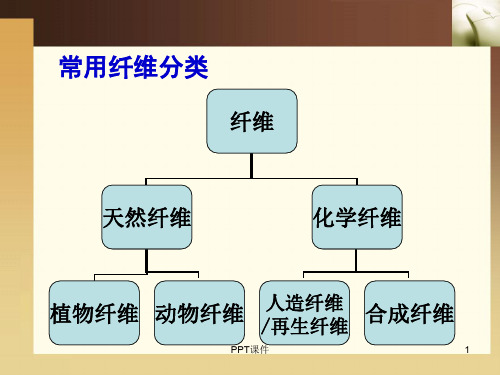 常用面料知识  ppt课件