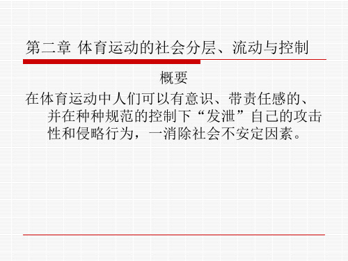 体育运动中的社会分层、流动与控制