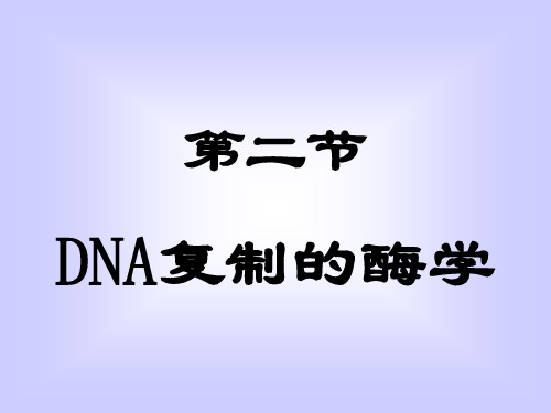 DNA复制的酶学