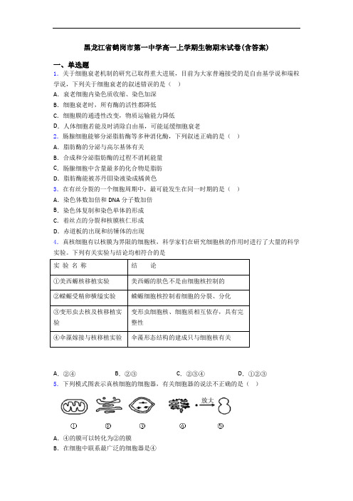 黑龙江省鹤岗市第一中学高一上学期生物期末试卷(含答案)