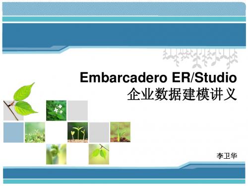 ERStudio使用教程中文版