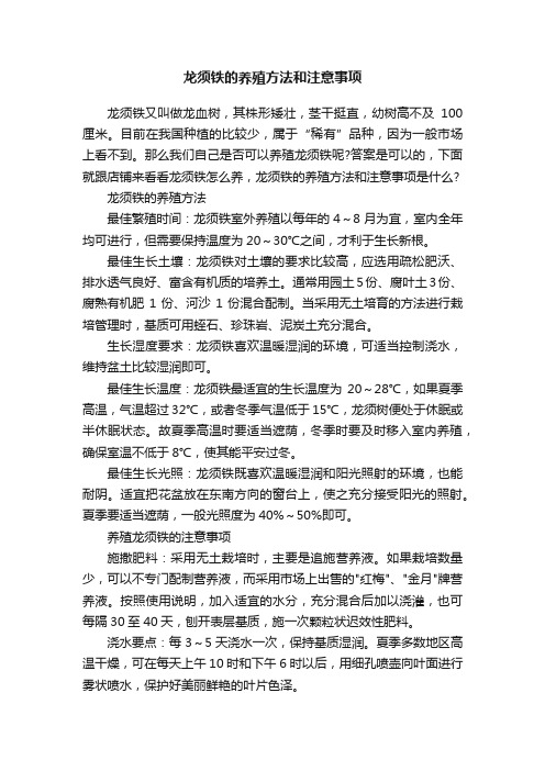 龙须铁的养殖方法和注意事项