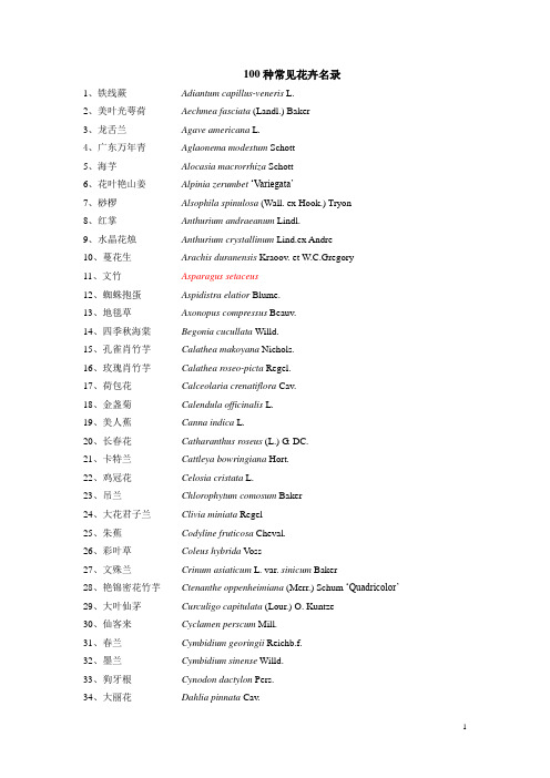 100种常见花卉及拉丁名