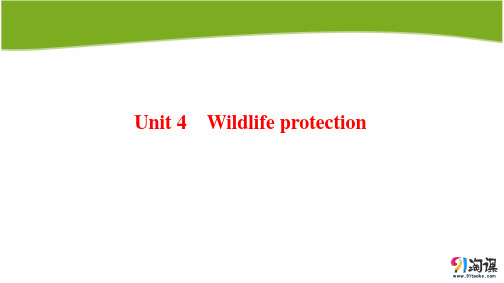 课件11：Unit 4 Wildlife protection