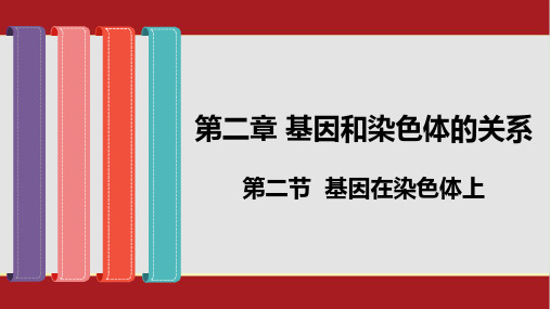 2.2 基因在染色体上-人教版(2019)高中生物必修二课件(共28张PPT)