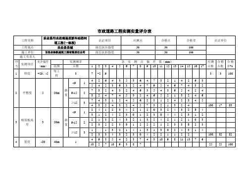 市政道路工程实测实量评分表(多点)