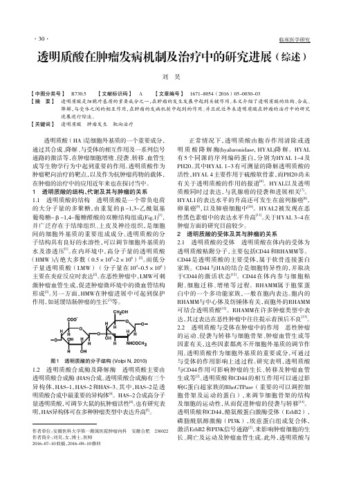 透明质酸在肿瘤发病机制及治疗中的研究进展(综述)