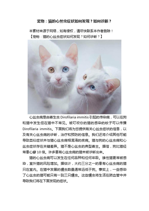 宠物：猫的心丝虫症状如何发现？如何诊断？