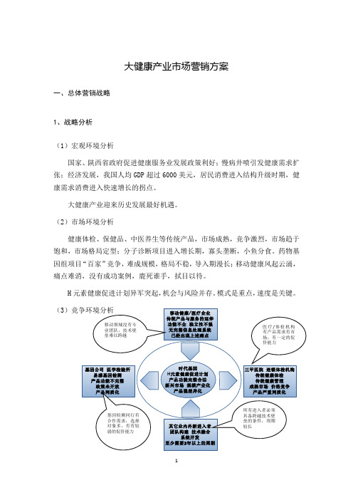 大健康市场营销策划方案