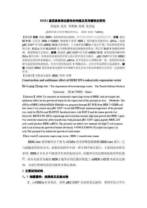 HER2基因真核表达载体的构建及其抑瘤效应研究