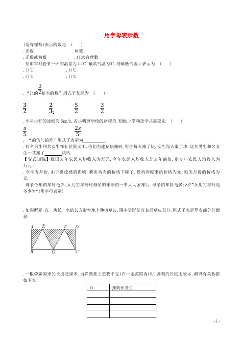 六年级数学上册3.1用字母表示数题组训练鲁教版五四制