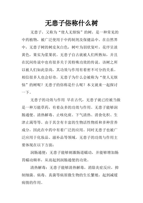 无患子俗称什么树