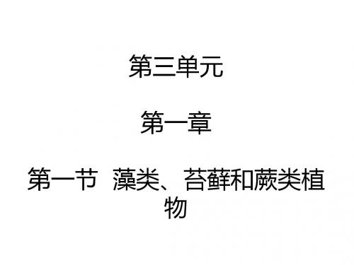 人教版七年级上册生物课件3.1.1藻类、苔藓和蕨类植物 (共34张PPT)