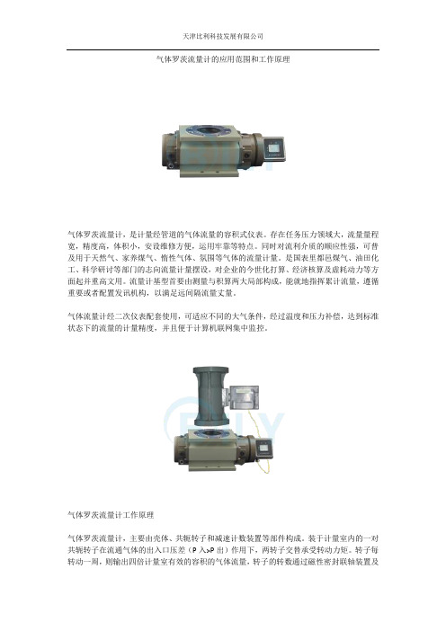 气体罗茨流量计的应用范围和工作原理