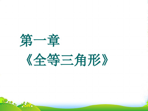 新青岛版八年级数学上册《全等三角形》优课件