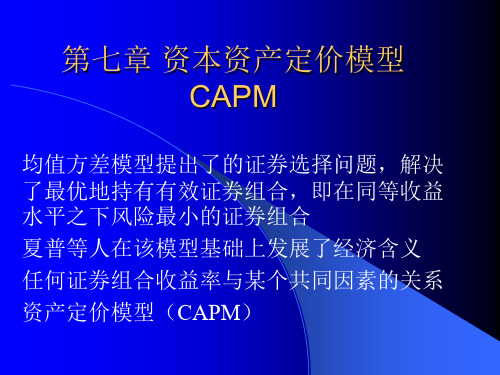 金融经济学capmppt课件