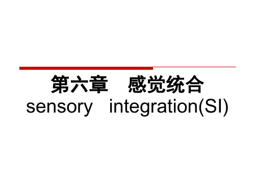 感觉统合课件