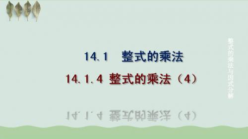 八年级数学上册第14章整式的乘法与因式分解14.1整式的乘法14.1.4整式的乘法第4课时教学课件新版新人教版