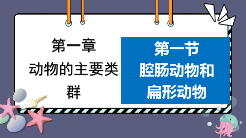 第一节腔肠动物和扁形动物课件-人教版生物八年级上册