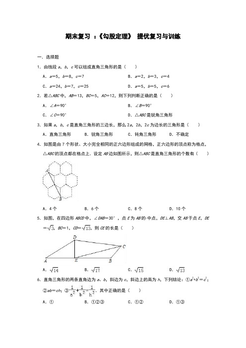 人教版八年级下期 期末复习 ： 《勾股定理》 提优复习与训练(附答案)