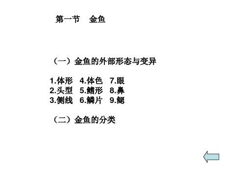 金鱼的形态与种类