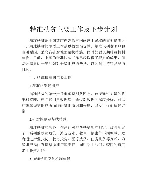 精准扶贫主要工作及下步计划