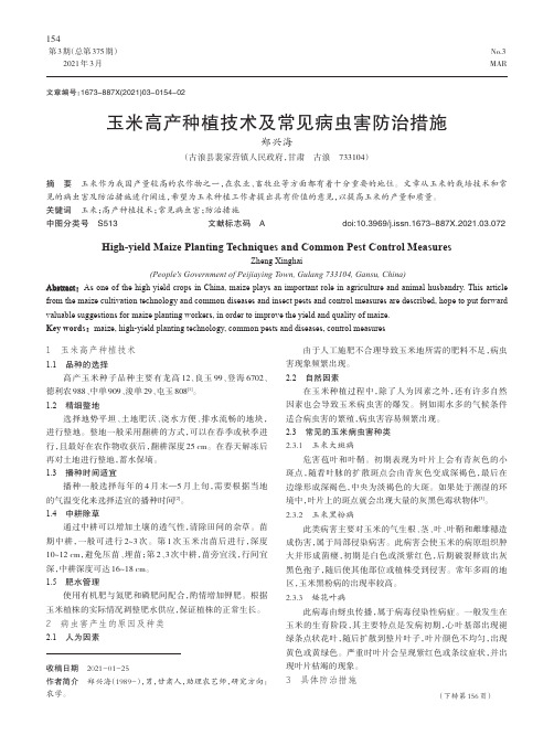 玉米高产种植技术及常见病虫害防治措施